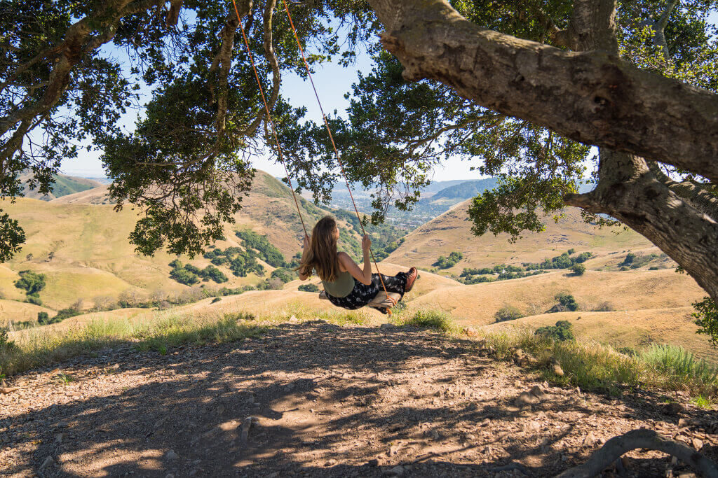 Serenity Swing hanging from an old oak tree with views over the hills of Poly Canyon