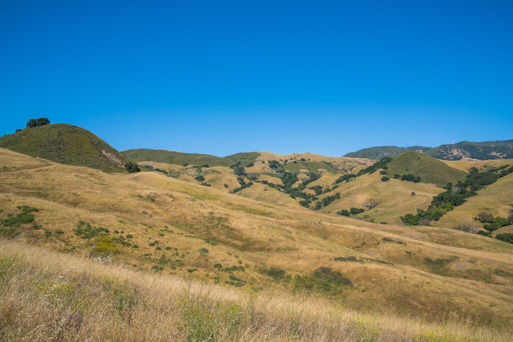 Green and yellow hills as viewed from the Serenity Swing trail