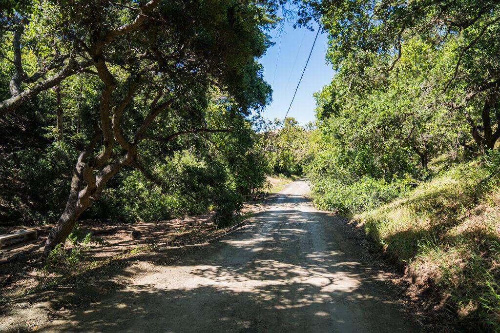 The wide, paved Poly Canyon Road near the Serenity Swing trailhead