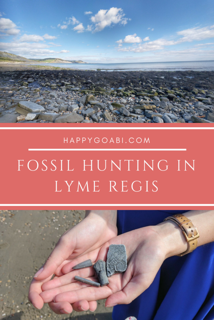 Fossil Hunting in Lyme Regis