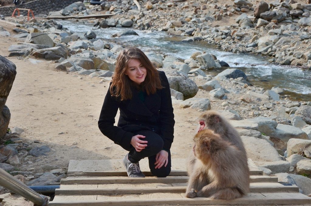 Chatting with a group of monkeys