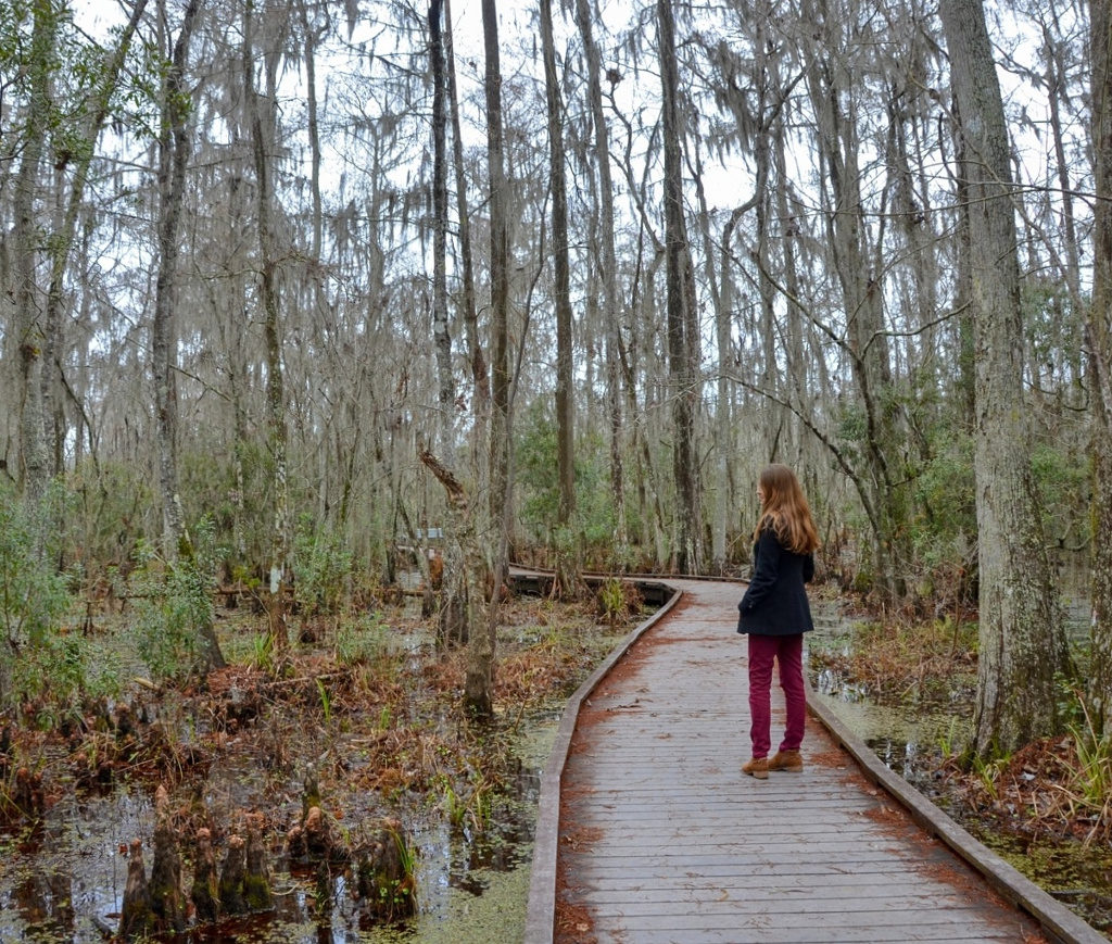 Barataria Preserve