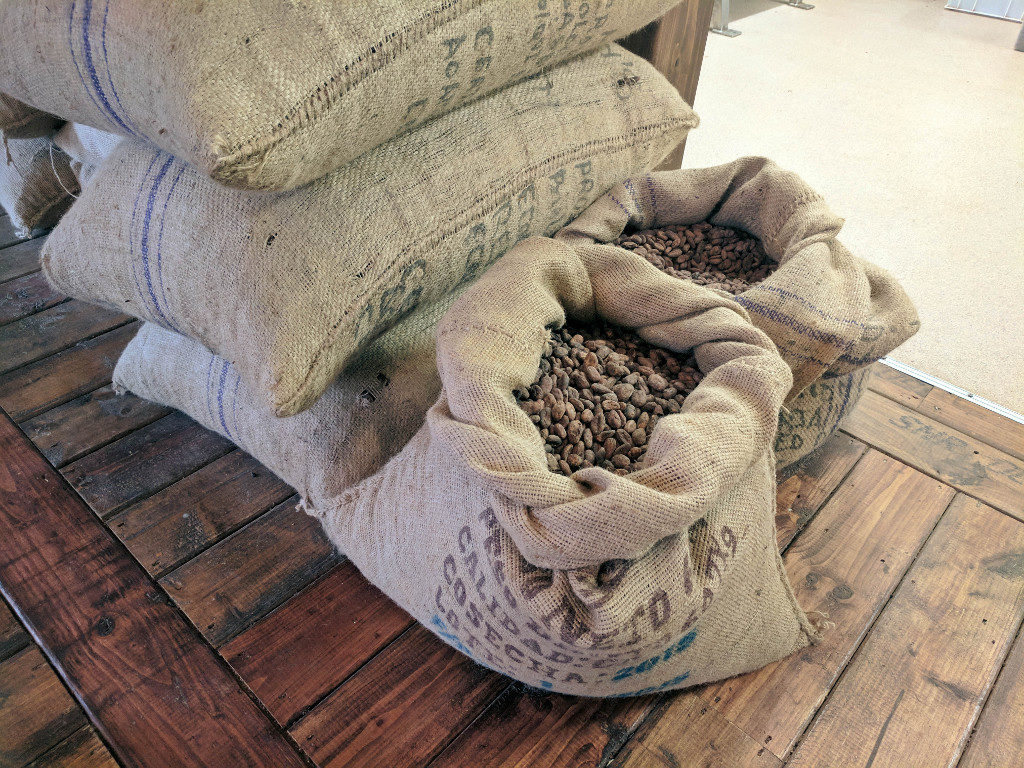 Cacao beans ready for roasting