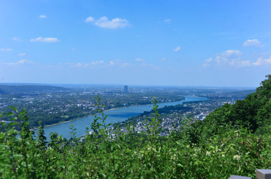 View of the Rhine from the summit of Drachenfels mountain