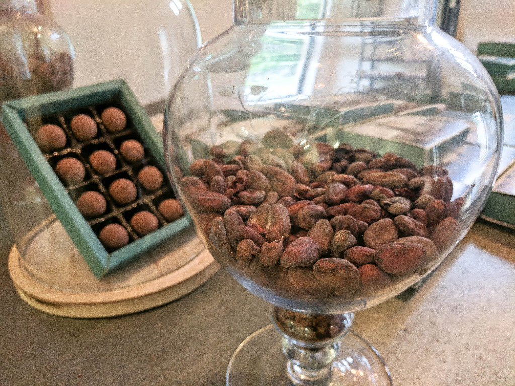 Roasted cacao beans in a glass container