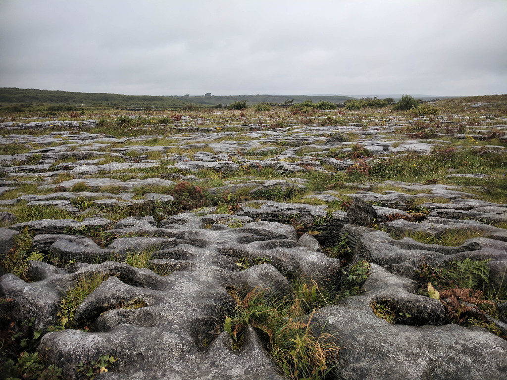 The rocky landscape of the Burren