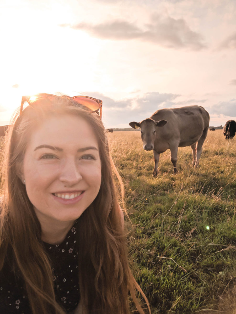 Selfie with a cow in Port Meadow, Oxford