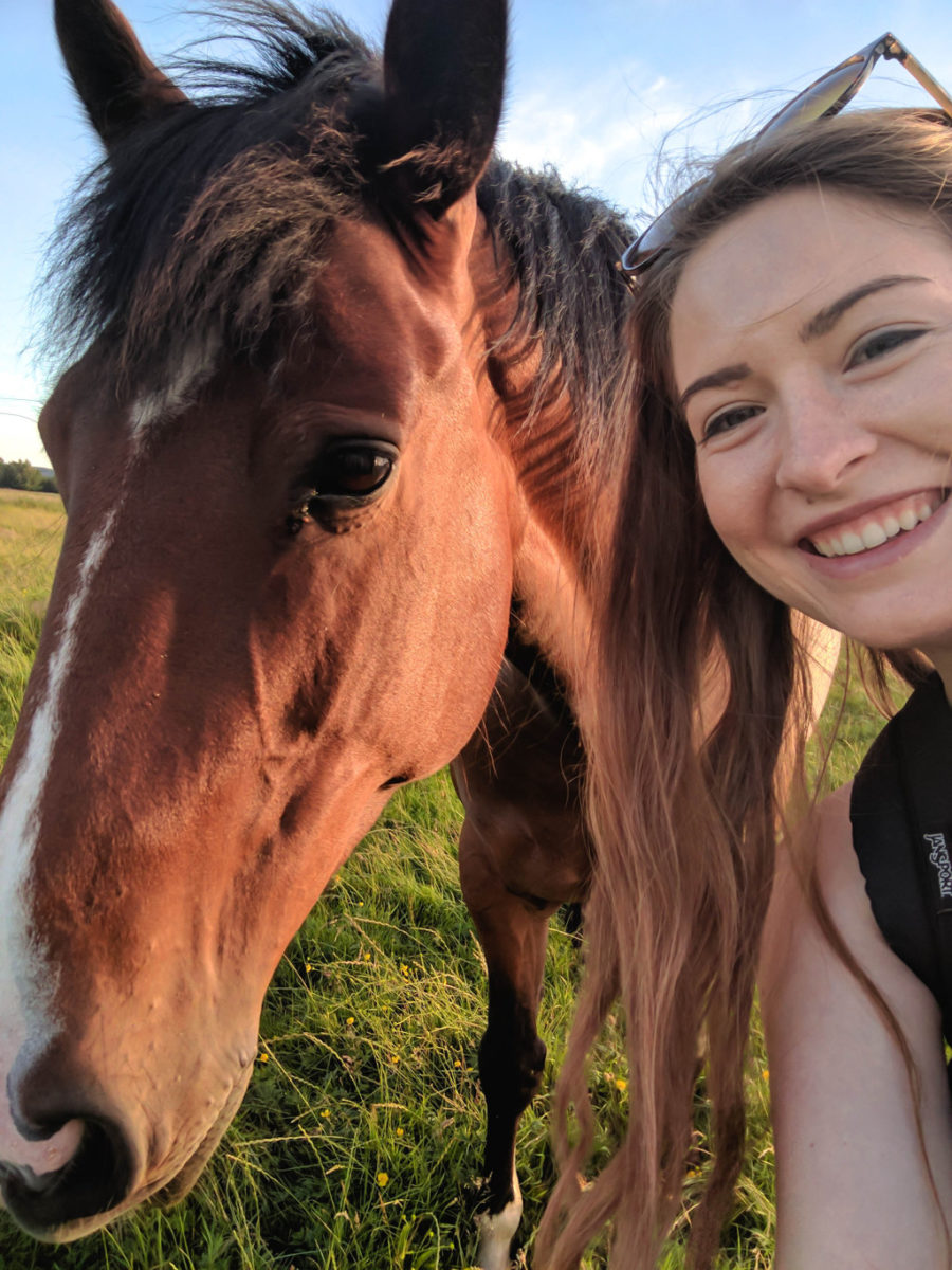 Selfie with a horse in Port Meadow, Oxford