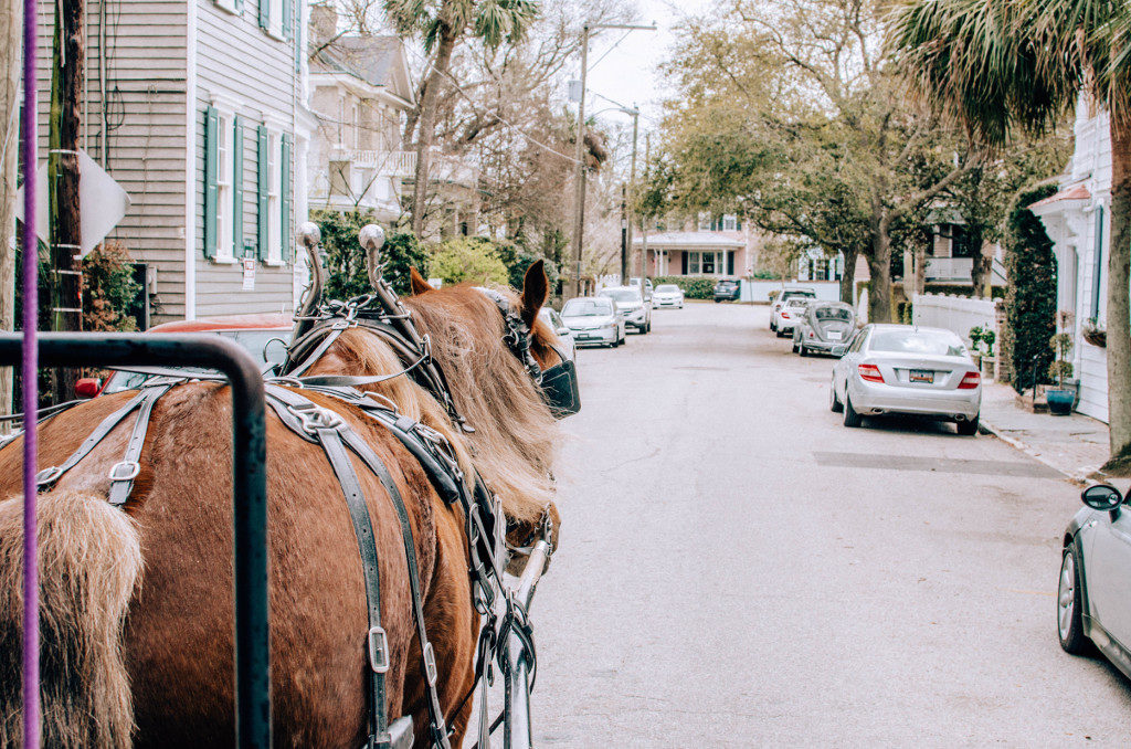 Horse and carriage walking through Charleston