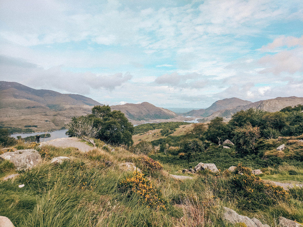 View of mountains from Kissane Sheep Farm