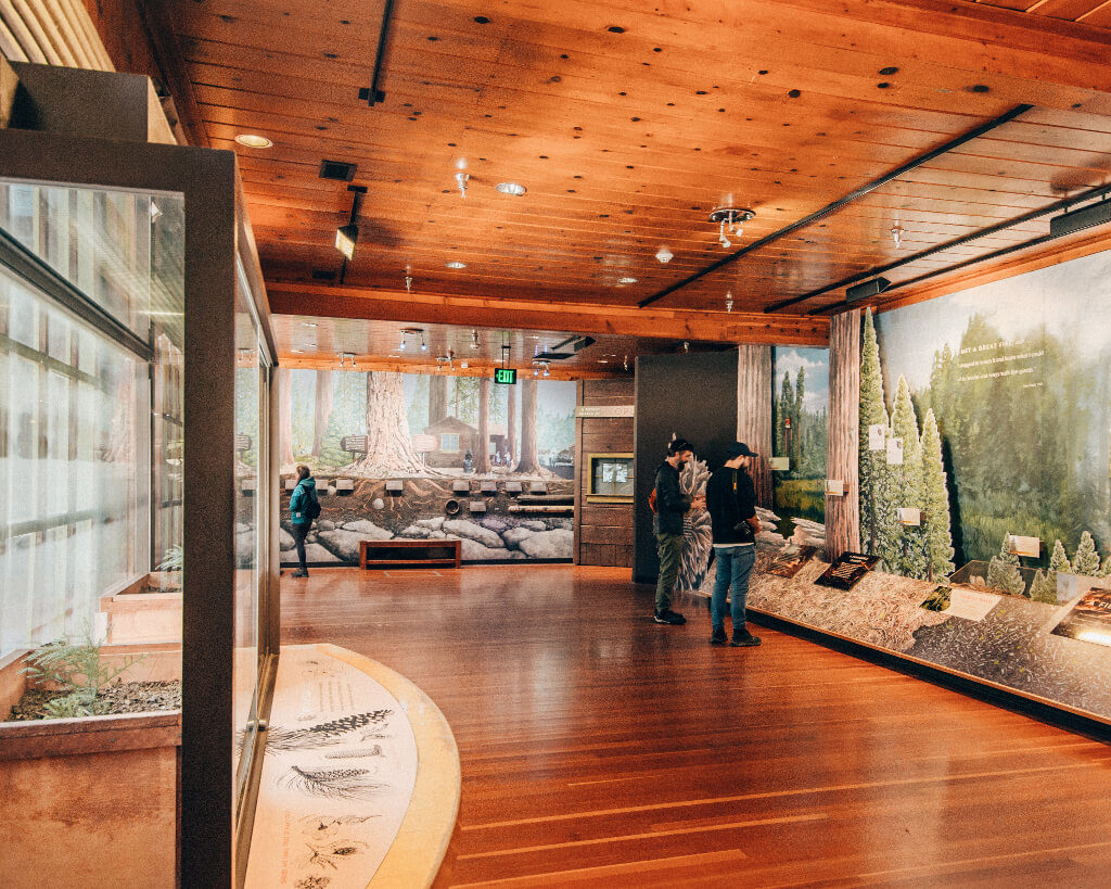 Inside of the Giant Forest Museum in Sequoia National Park with sequoia tree exhibits