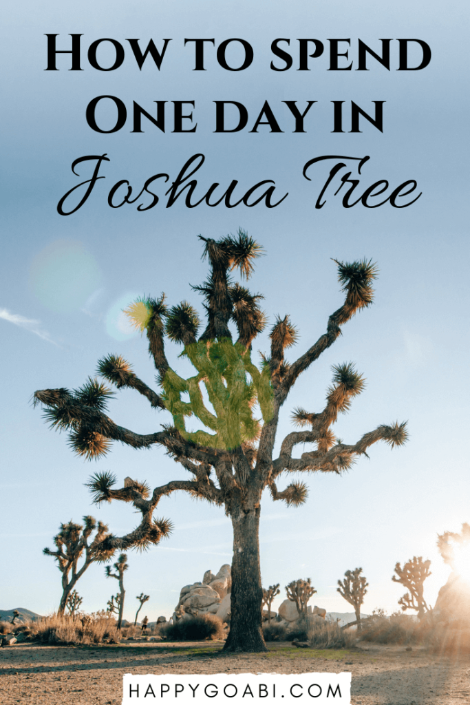 Pinterest image for Joshua Tree day trip article