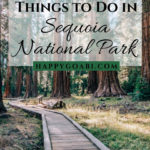 Pinterest image for Sequoia National Park article