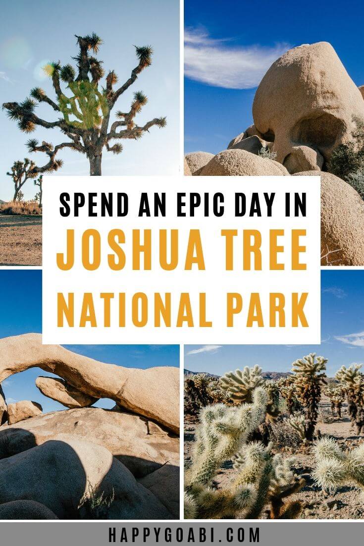 The Ultimate Joshua Tree Day Trip Itinerary: One Day In Joshua Tree 