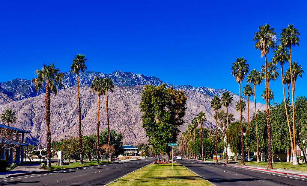 Palm trees lining the roads in Palm Springs with mountains in the background