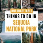 Pinterest image for Sequoia National Park article
