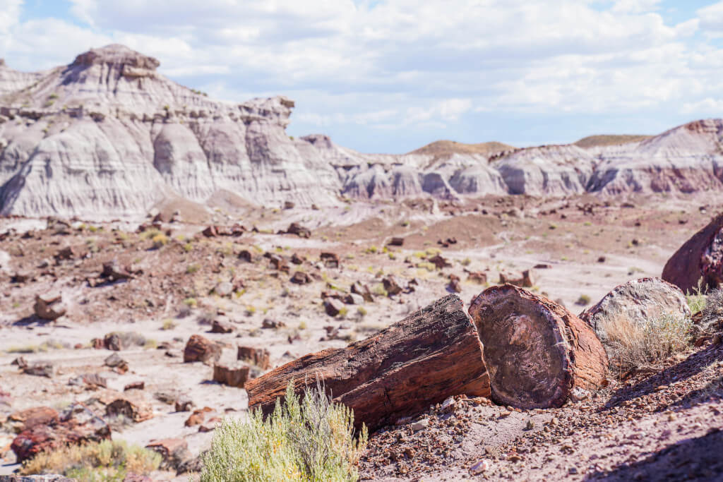 Un buștean petrificat despicat cu dealuri în fundal la Petrified Forest National Park