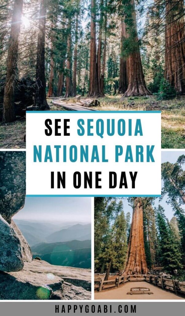 Pinterest image for Sequoia National Park day trip article