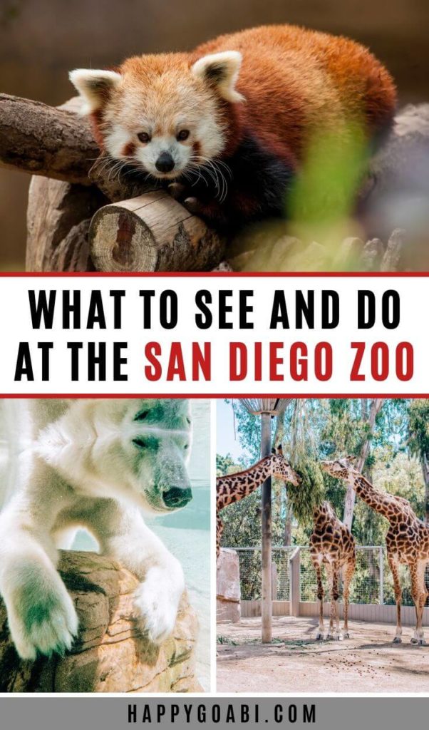 Pinterest image for San Diego Zoo article