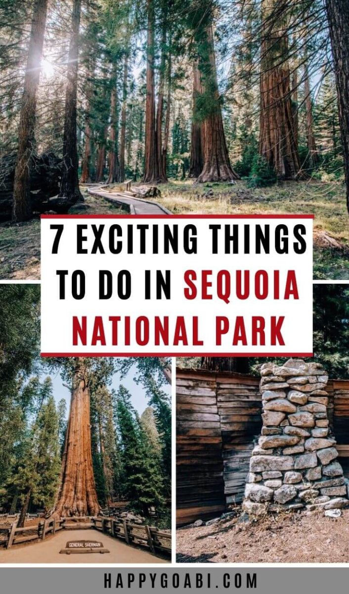 7 Unforgettable Things to Do in Sequoia National Park