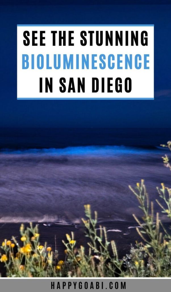 Pinterest image for San Diego bioluminescence article
